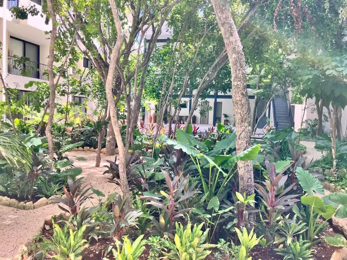 Near Beach New Ximbal Tulum 4 Guest Pool Fast Wifi 0*,  メキシコ