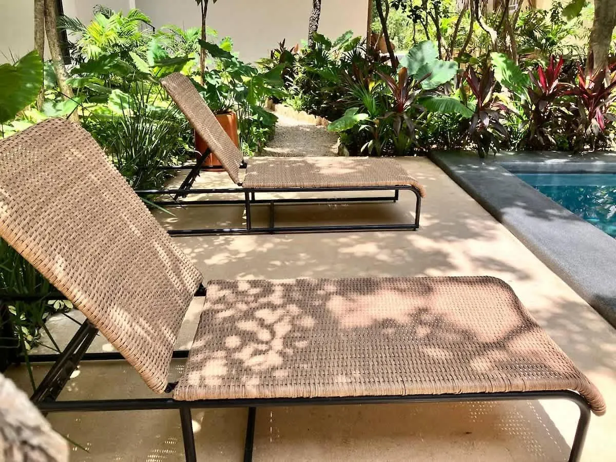 Apartment Near Beach New Ximbal Tulum 4 Guest Pool Fast Wifi