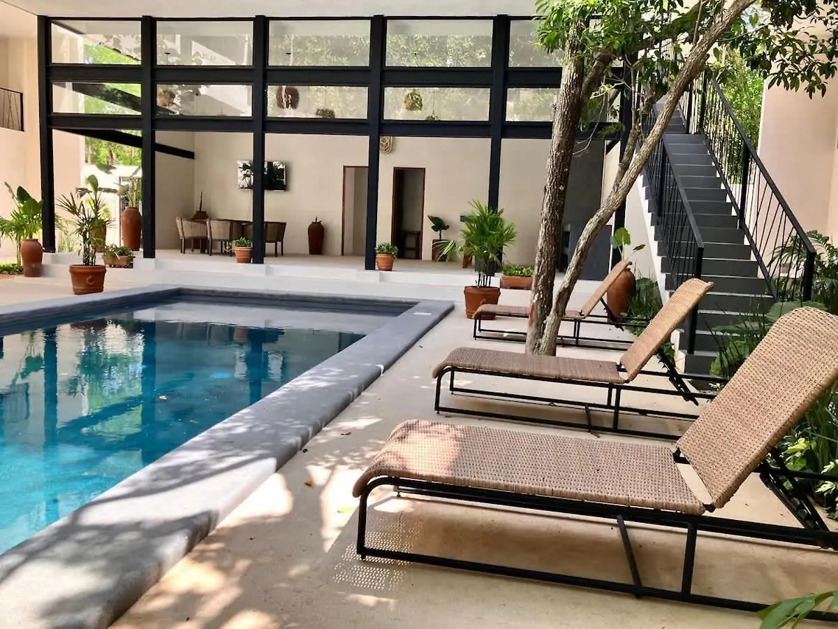 Apartment Near Beach New Ximbal Tulum 4 Guest Pool Fast Wifi