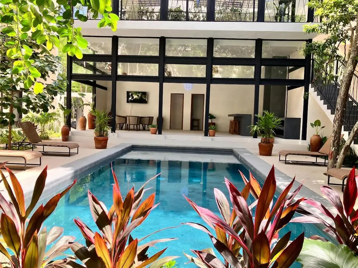 Near Beach New Ximbal Tulum 4 Guest Pool Fast Wifi