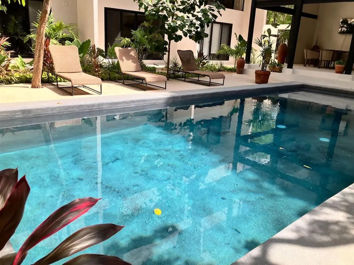 Near Beach New Ximbal Tulum 4 Guest Pool Fast Wifi Apartment