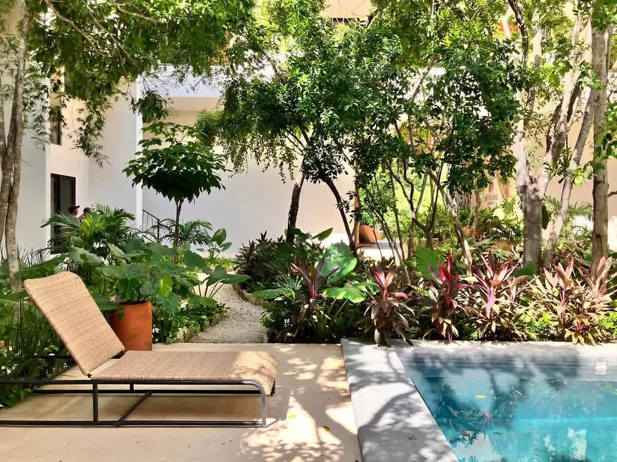 Apartment Near Beach New Ximbal Tulum 4 Guest Pool Fast Wifi