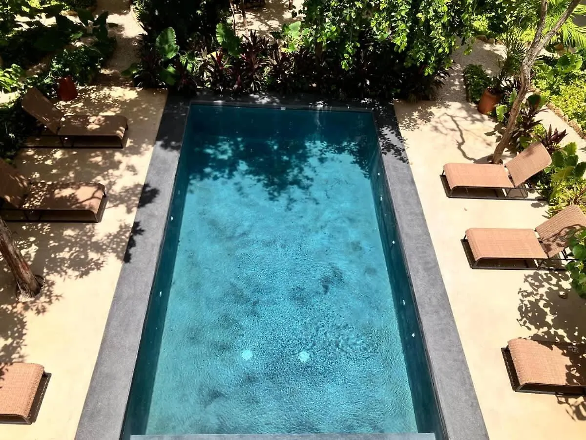 Apartment Near Beach New Ximbal Tulum 4 Guest Pool Fast Wifi