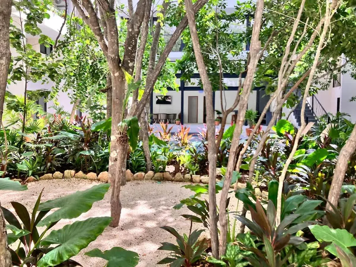 Near Beach New Ximbal Tulum 4 Guest Pool Fast Wifi Apartment