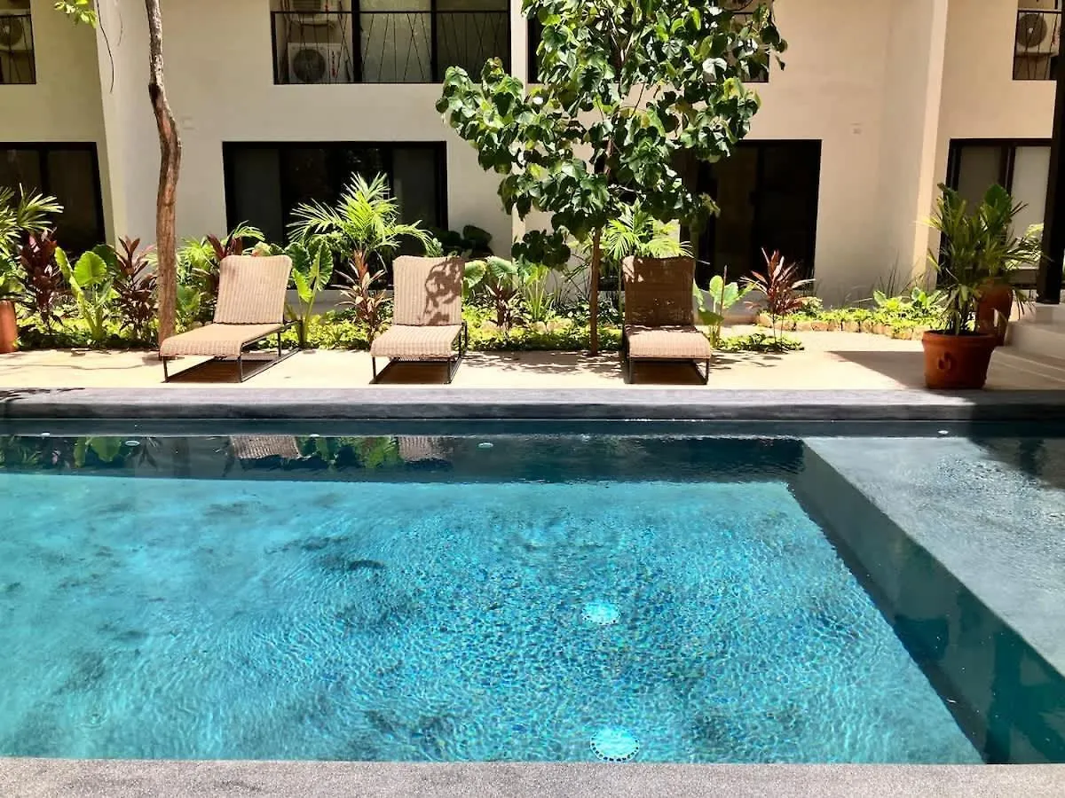 Near Beach New Ximbal Tulum 4 Guest Pool Fast Wifi Apartment