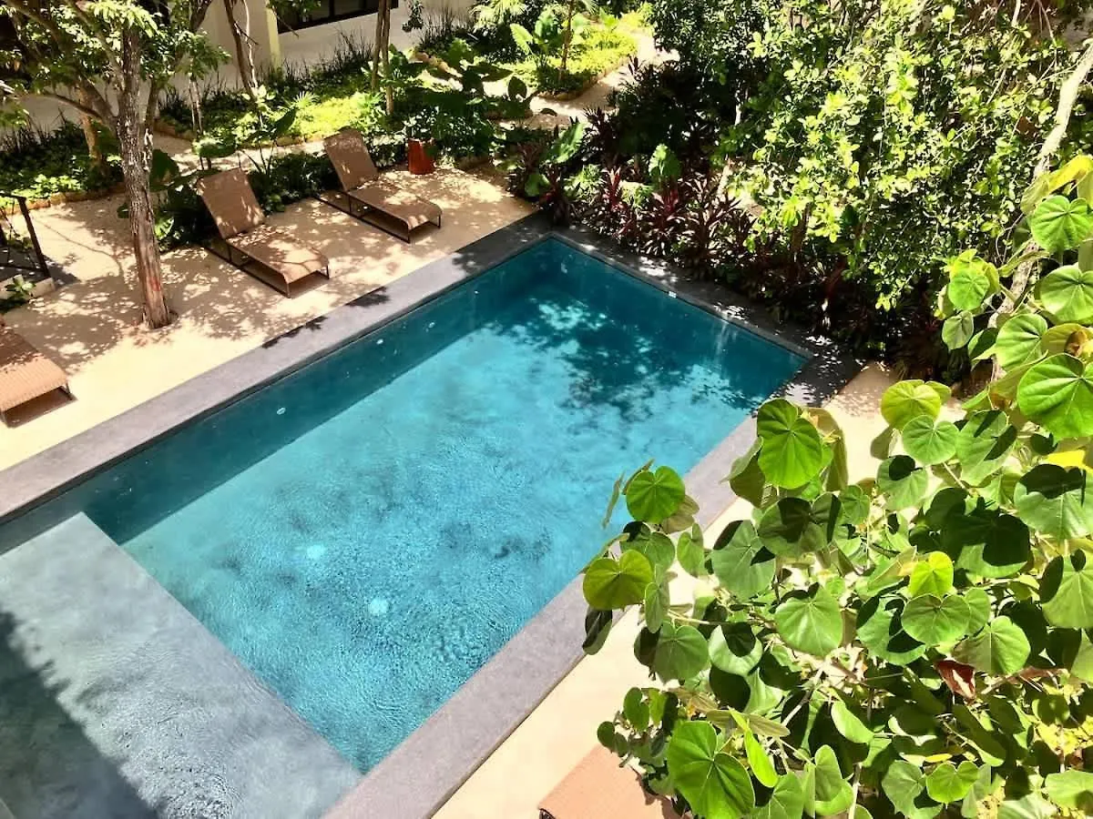 Near Beach New Ximbal Tulum 4 Guest Pool Fast Wifi
