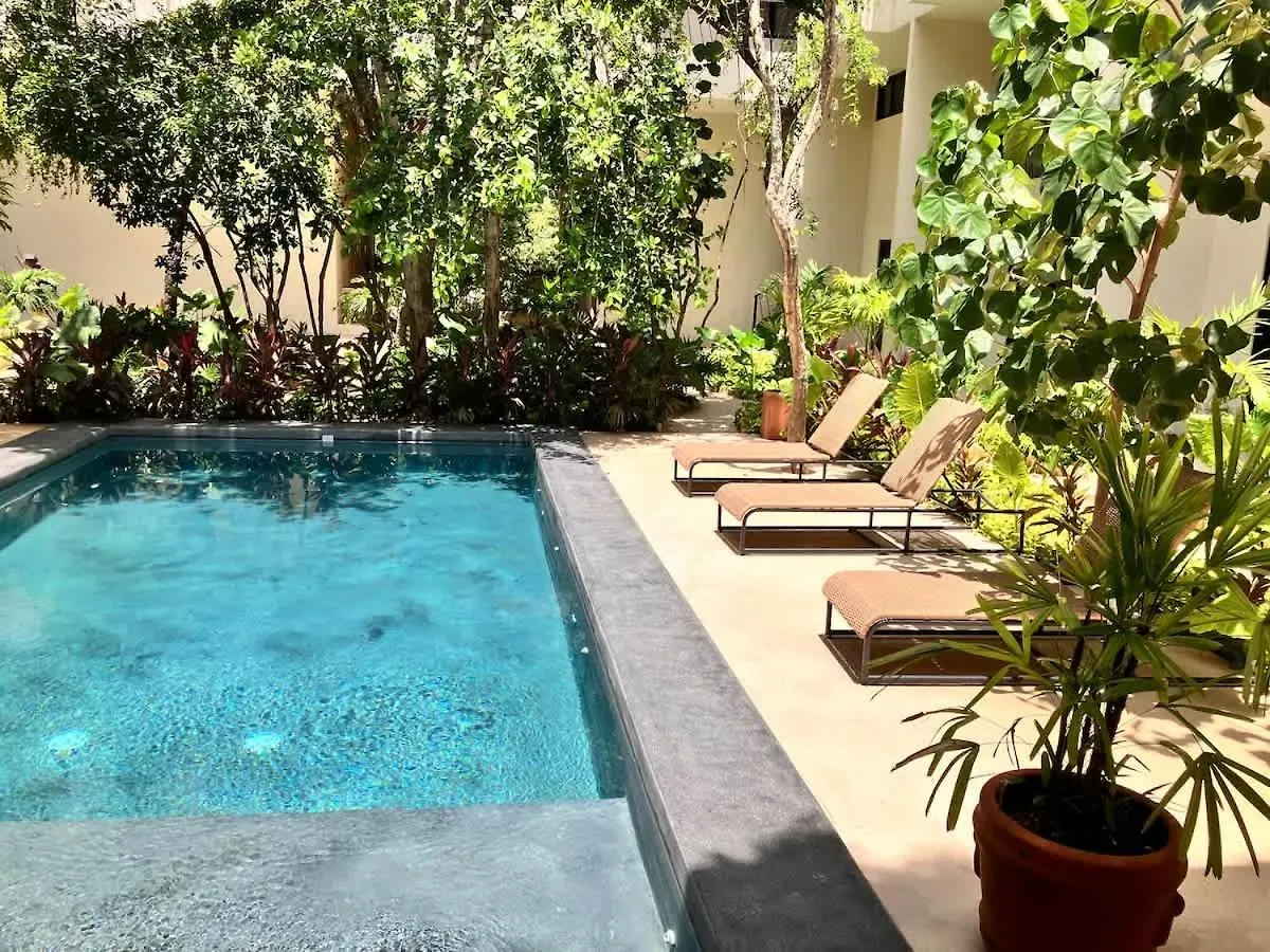 Near Beach New Ximbal Tulum 4 Guest Pool Fast Wifi 0*,