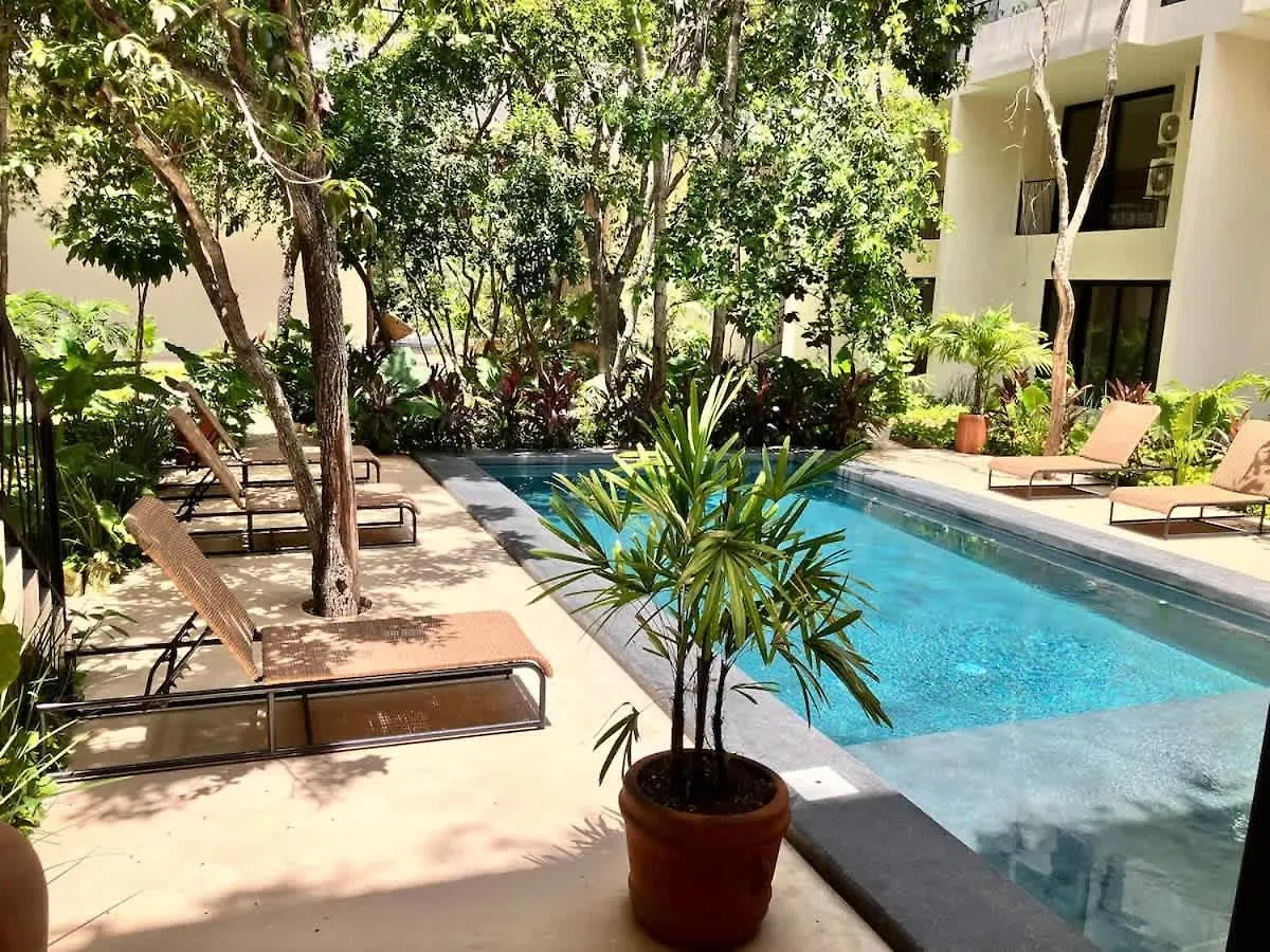 Near Beach New Ximbal Tulum 4 Guest Pool Fast Wifi