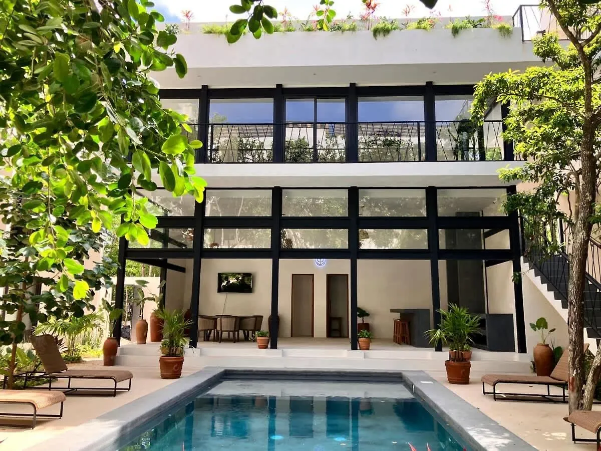 Apartment Near Beach New Ximbal Tulum 4 Guest Pool Fast Wifi